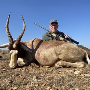 Blesbok Hunting Northern Cape South Africa