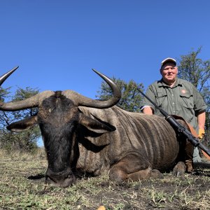 Blue Wildebeest Hunting South Africa