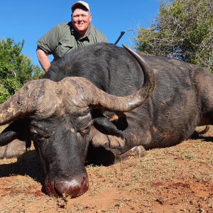 Buffalo Hunting South Africa