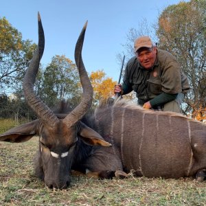 Nyala Hunting South Africa