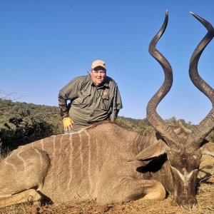 Kudu Hunting South Africa