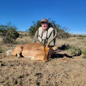 Impala Hunt South Africa