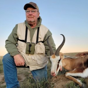 Springbok Hunt South Africa