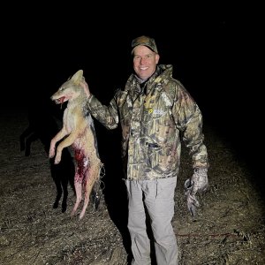 Jackal Hunting Mpumalanga South Africa