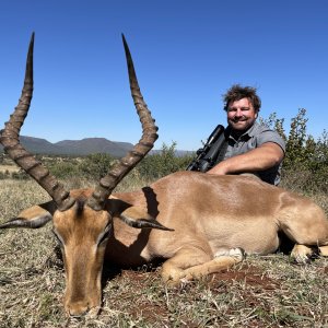 Impala Hunting Limpopo South Africa