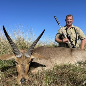 Common Reedbuck Hunting South Africa