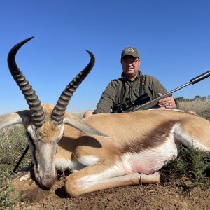 Springbok Hunting South Africa