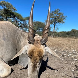 Eland Hunt Botswana