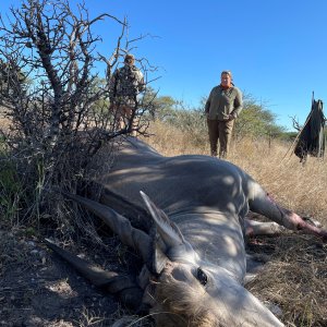 Eland Hunt Botswana