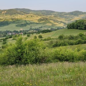 Scenery Romania