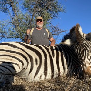 Zebra Hunting Botswana