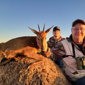 Hunting Duiker South Africa