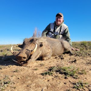 Hunting Warthog South Africa