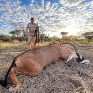 Roan Hunting South Africa