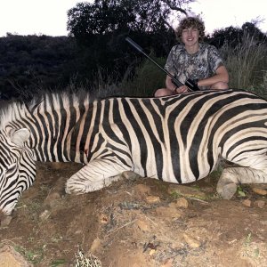 Zebra Hunting Eastern Cape South Africa