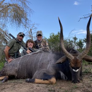 Nyala Hunting Eastern Cape South Africa