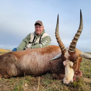 Blesbok Hunting South Africa