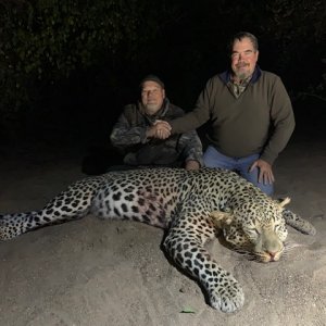 Leopard Hunting Zimbabwe