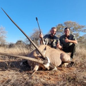 Gemsbok Hunt South Africa