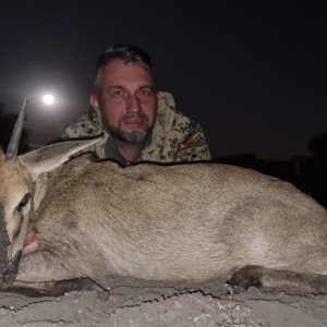 Duiker Hunt South Africa