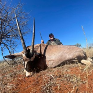 Gemsbok Hunt South Africa