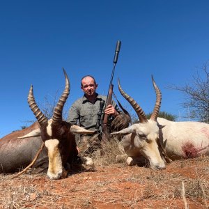 Blesbok Hunt South Africa