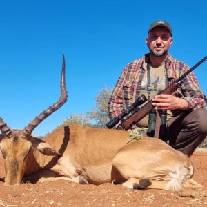 Impala Hunt South Africa