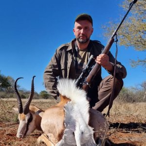 Springbok Hunt South Africa