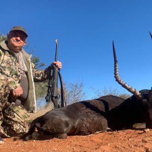 Black Impala Hunt South Africa