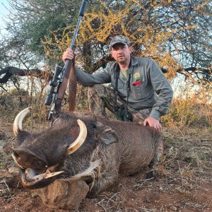 Warthog Hunt South Africa