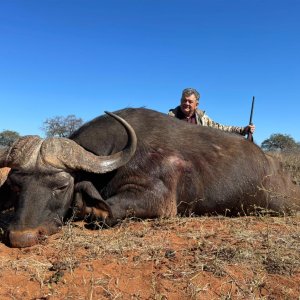 Cape Buffalo Hunt South Africa