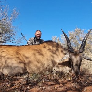 Eland Hunt South Africa