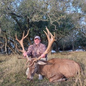 Red Stag Hunt Argentina