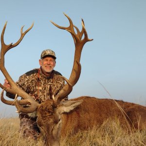 Red Stag Hunt Argentina