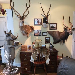 Trophy Room