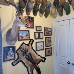 Trophy Room