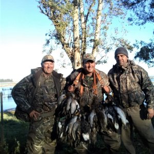 Duck Hunting Argentina