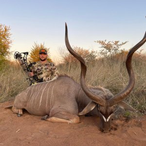 Kudu Bow Hunt South Africa