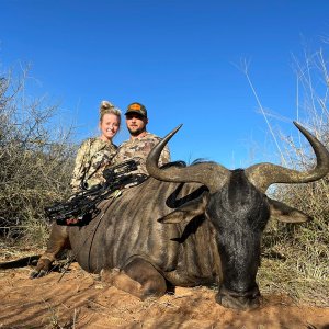 Blue Wildebeest Bow Hunt South Africa