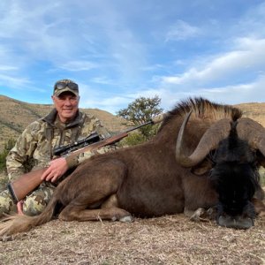 Black Wildebeest Hunt South Africa