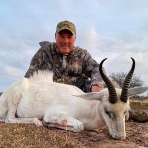 White Springbok Hunt South Africa