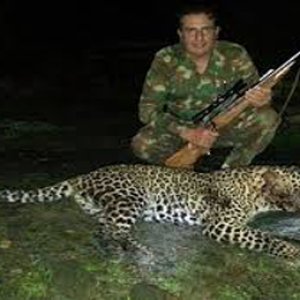 Leopard Hunting India