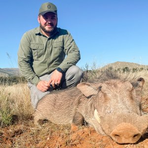 Warthog Hunt South Africa