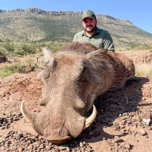 Warthog Hunt South Africa