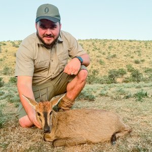 Duiker Hunt South Africa