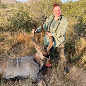 Kudu Hunt South Africa