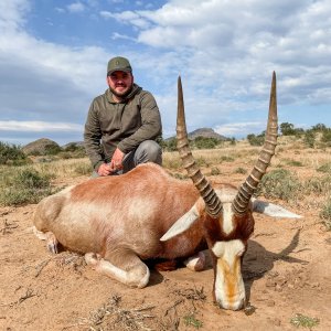 Blesbok Hunt South Africa