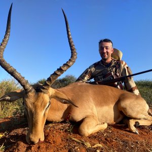 Impala Hunt South Africa