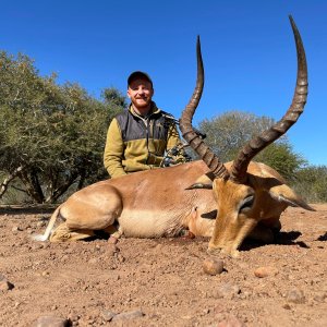 Impala Bow Hunt South Africa