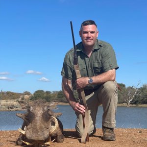 Warthog Hunting